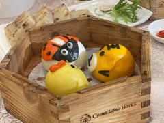 -白虎自助餐厅·真老虎·景观自助餐厅(广州长隆酒店)
