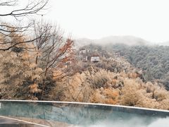 -宁海安岚·南溪阁全日餐厅