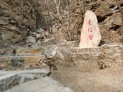 -北京上方山国家森林公园