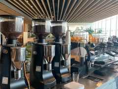 -Seesaw Coffee(朝阳大悦城店)