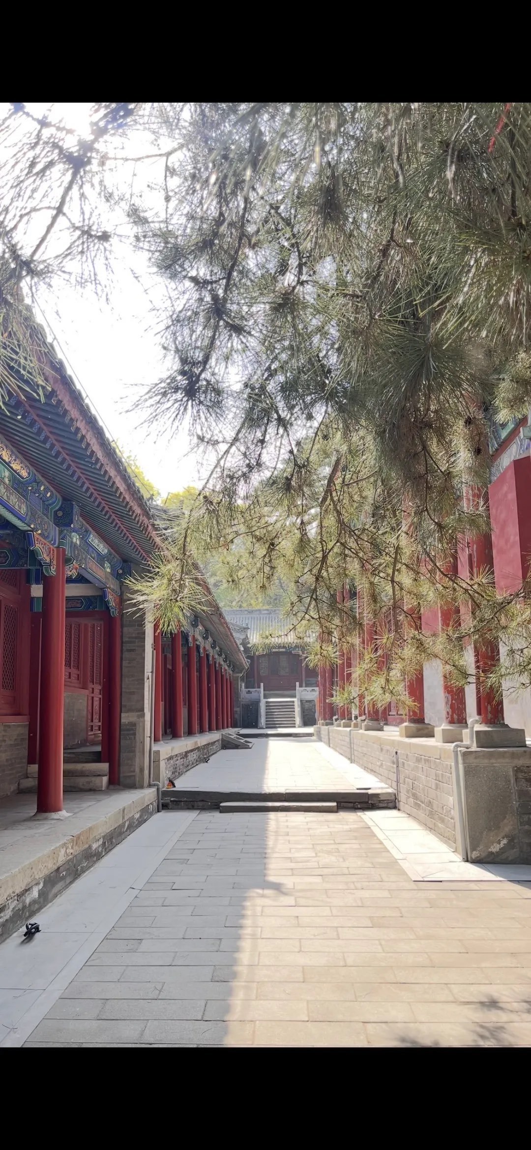 🔥🔥🔥3岁萌娃打卡《甄嬛传》同款"甘露寺"!