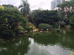 -九龙公园