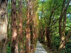 -同里国家湿地公园