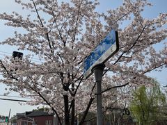 -永乐路-路侧停车场