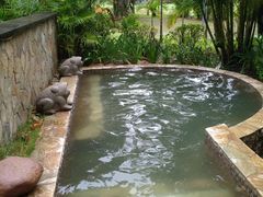 -三亚珠江南田温泉度假区