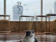 -Catmate·猫肥家润(金润铂宫店)