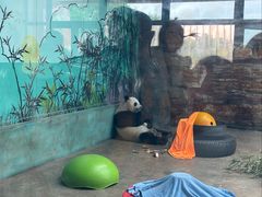 -石家庄市动物园