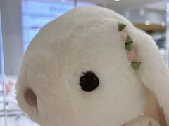 -金鹰国际购物中心(江都店)