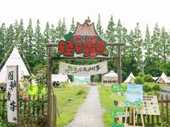 -前小桔亲子创意农场·草莓采摘·露营烧烤