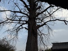 -常熟方塔园