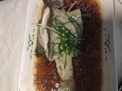 -云中小雅