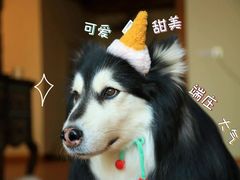 -潮牛魏记鲜牛肉火锅(开发区店)