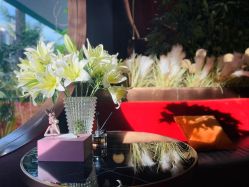 -花隐·美芙炫海菲秀皮肤管理中心