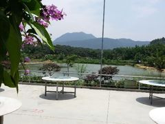 android_upload_pic-大王岭农庄