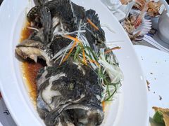 -大锅强·蒸海鲜青岛菜(吾悦广场店)