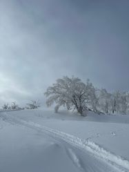-大秃顶子山
