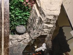 -佳兰雅序融合菜(高新店)