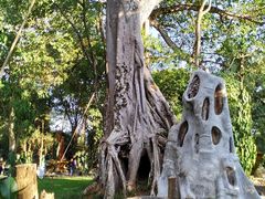 -瑞丽独树成林风景区