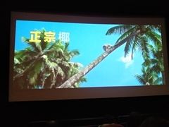 -SFC上影影城(新世界店)
