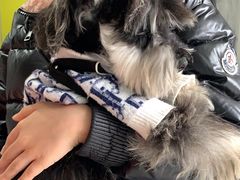 -瑞鹏瑞爱宠物医院·全科·猫科·血液透析中心(龙头寺店)