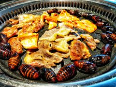 -鼎盛江山美食自助(欢乐城店)