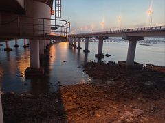 -星海湾跨海大桥