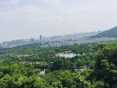 -苏州上方山国家森林公园