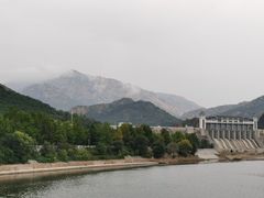 -燕塞湖鸟语林景区