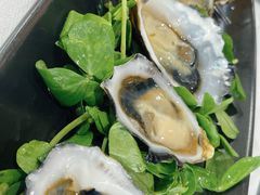 -12 Rocks Beach Bar Cafe