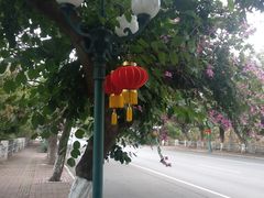 -南沙十九涌渔人码头-南门