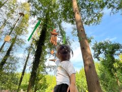 -黄海国家森林公园