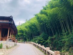 -林坑古村落
