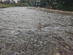 -水墨汀溪风景区