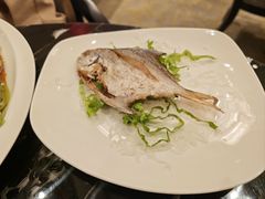 -京香轩·中餐厅(上海中庚聚龙酒店)