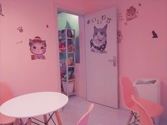 -三花喵·撸猫购宠·宠物生活馆(虹桥南丰城店)