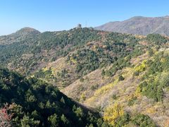 -北京西山国家森林公园