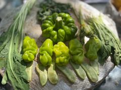 -缘生态云南菜·野生菌庭院餐厅(华侨城店)
