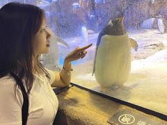 -哈尔滨波塞冬海底世界