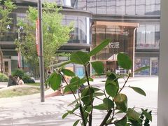 -Seesaw Coffee(苏州中心店)