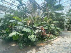 -郑州植物园