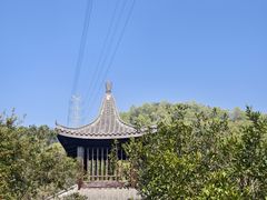 -中山市树木园