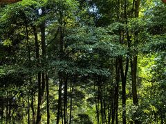 -青城山