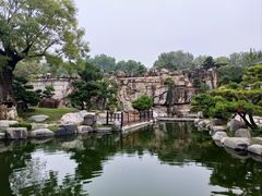 -中国唐苑