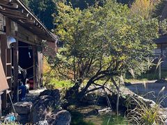 -白川乡与五箇山的合掌构造村落