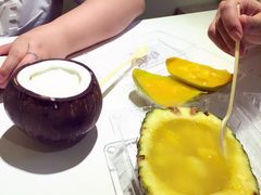 -志龙皇冠吃货椰子铺
