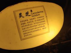 -张家港金凤凰度假村温泉