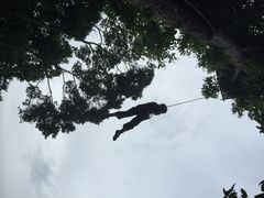 丛林飞跃-清迈丛林飞跃 JungleFlight