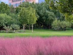 -中央广播电视总台(光华路办公区)