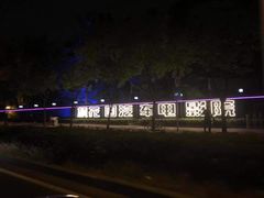 -枫花园汽车电影院(朝阳公园店)