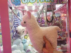-BIG PINK大粉娃娃机主题馆(圆融星座店)